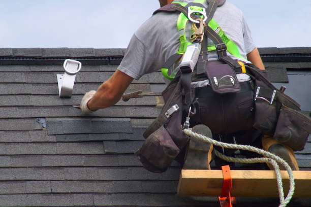 Best Roof Gutter Cleaning  in Eagle Point, AL